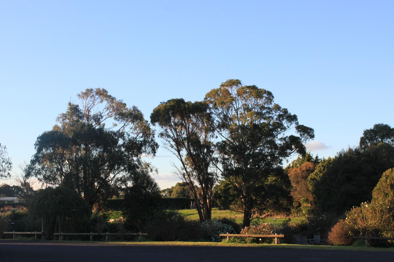 Motel Mt Gambier International Mount Gambier Zewnętrze zdjęcie