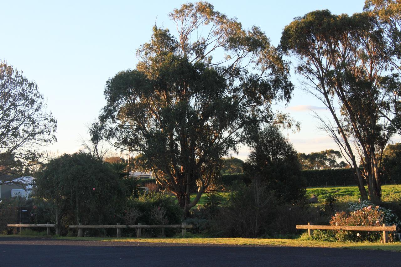 Motel Mt Gambier International Mount Gambier Zewnętrze zdjęcie
